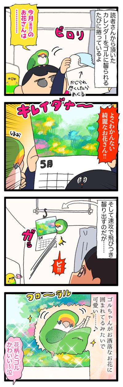 愛鳥あるある？「そのイタズラわざとだよね？」【鳥マンガ＃98】（サムネイル画像4）