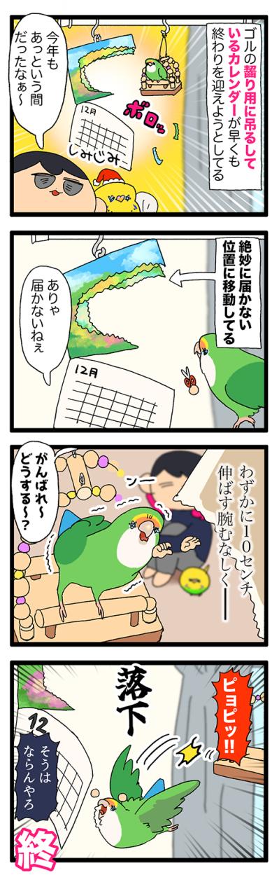 2025年も早々に終了！？インコ「カレンダー事件」【鳥マンガ＃101】（サムネイル画像4）