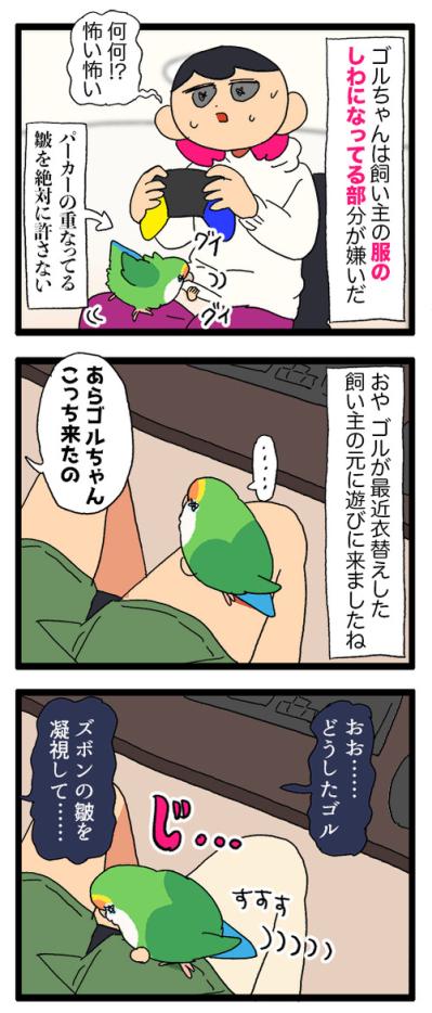 インコに“生殺与奪の権利”をにぎられる飼い主【鳥マンガ＃99】（サムネイル画像4）