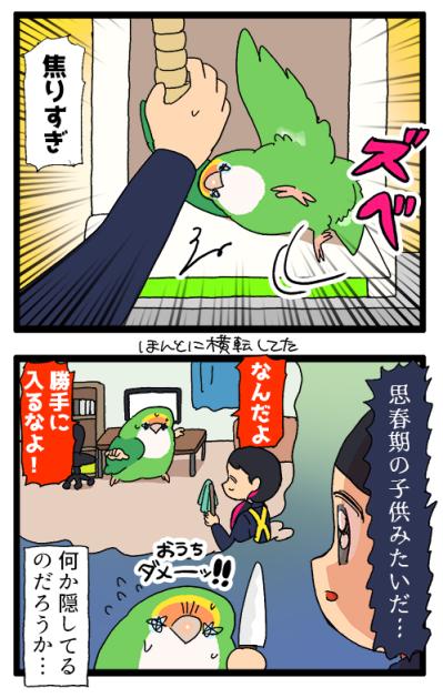 インコに“生殺与奪の権利”をにぎられる飼い主【鳥マンガ＃99】（サムネイル画像7）