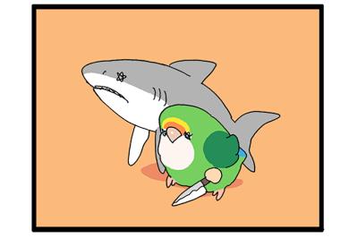 なるほど！コザクラインコ女子は海のギャングに似ている！？【鳥マンガ＃94】