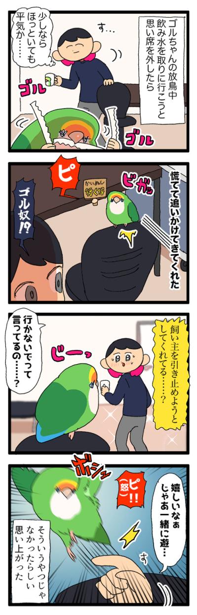 飼い主とインコの恋の駆け引き／その紙は破らせない！【鳥マンガ＃103】（サムネイル画像4）
