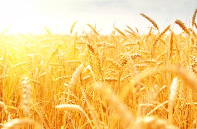 中原中也の『ランボオ詩集』あらすじ紹介。19世紀の天才詩人ランボオとその詩の世界とは？