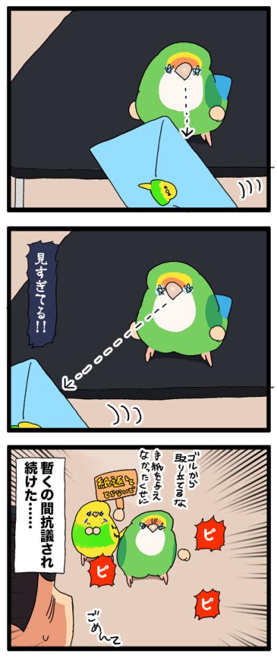 飼い主とインコの恋の駆け引き／その紙は破らせない！【鳥マンガ＃103】（サムネイル画像7）