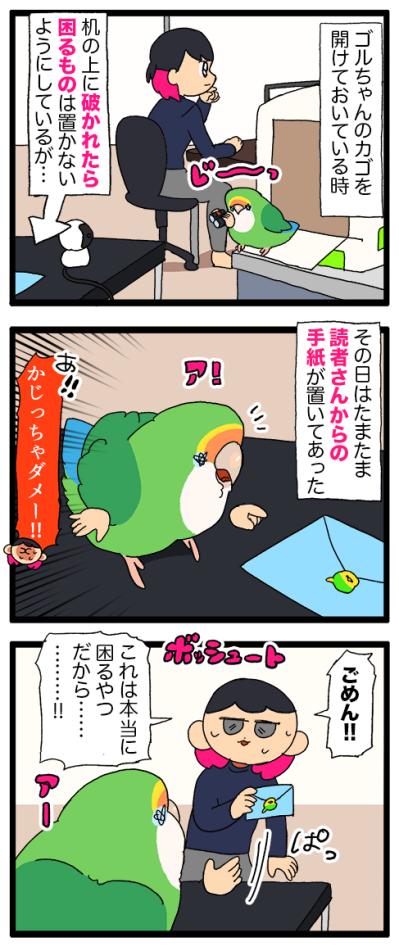 飼い主とインコの恋の駆け引き／その紙は破らせない！【鳥マンガ＃103】（サムネイル画像6）