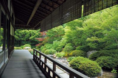 「そうだ 京都、行こう。」CM舞台の秘話！「杉本家住宅」と「妙心寺天球院」で非日常に出会う（サムネイル画像5）