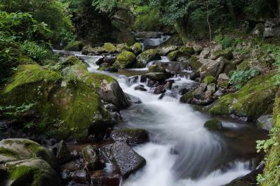 国木田独歩の『湯ヶ原より』あらすじ紹介。切ない失恋と心に響く感情の旅