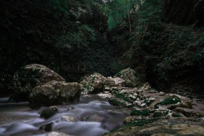 岡本かの子の『呼ばれし乙女』あらすじ紹介。夢と現実が交錯する人間関係の葛藤