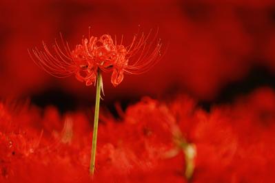 「うわさ話ばかりの友人」に疲れたら？禅僧・枡野俊明さんに聞く、関係改善のコツとアプローチ（サムネイル画像2）