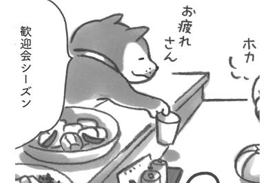 柴犬マンガで泣いた。「まずは自分をほめていいと思うよ」【柴犬食堂#3】