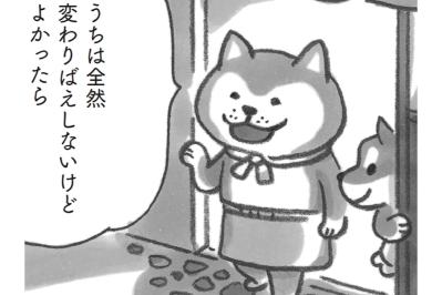 新しい生活に疲れたときは、モフモフ柴犬に会いに来て！【柴犬食堂#4】