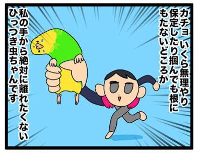 【セキセイインコのカチョ】動物病院で薬を処方してもらうときの名前問題【鳥マンガ＃106】（サムネイル画像6）