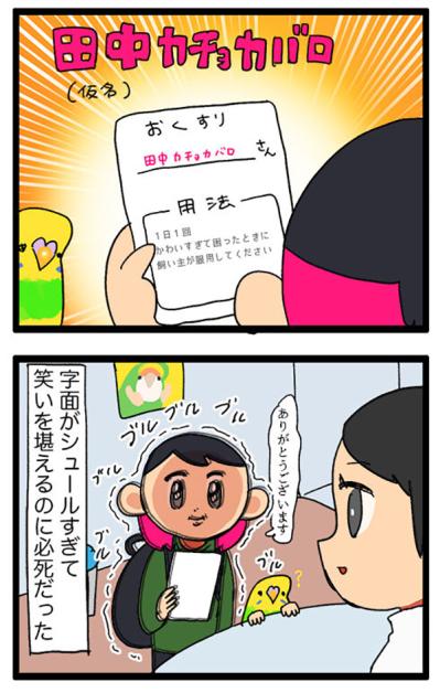 【セキセイインコのカチョ】動物病院で薬を処方してもらうときの名前問題【鳥マンガ＃106】（サムネイル画像8）