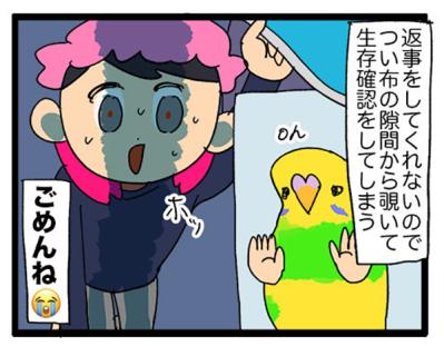 大天使カチョリエルをお迎え！様子が気になる飼い主…【鳥マンガ＃104】（サムネイル画像5）