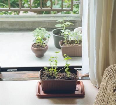 築35年の団地に住む理由。「絶対”ない”と思った」家だったけど…身の丈にあった暮らしと幸せの見つけ方（サムネイル画像12）