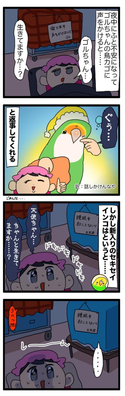 大天使カチョリエルをお迎え！様子が気になる飼い主…【鳥マンガ＃104】（サムネイル画像4）