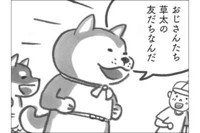 モフモフ柴犬のつくるお好み焼きが！友だちと分け合う幸せ【柴犬食堂 #13】