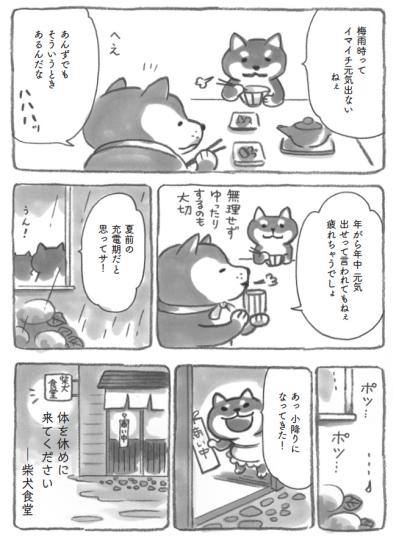 自分をいたわる時間の大切さ…柴犬大将がそっと教えてくれました【柴犬食堂 #9】（サムネイル画像4）