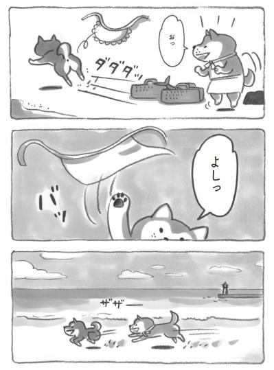 あ、やっぱり柴犬だ！海辺でとった行動に納得。だから今日も元気に過ごせるのだ！【柴犬食堂 #11】（サムネイル画像2）