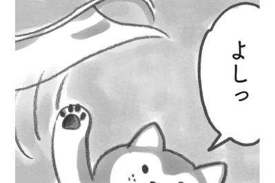 あ、やっぱり柴犬だ！海辺でとった行動に納得。だから今日も元気に過ごせるのだ！【柴犬食堂 #11】