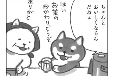 コロッケはソース派？しょうゆ派？柴犬食堂のコロッケがどちらにも合う理由【柴犬食堂 #16】