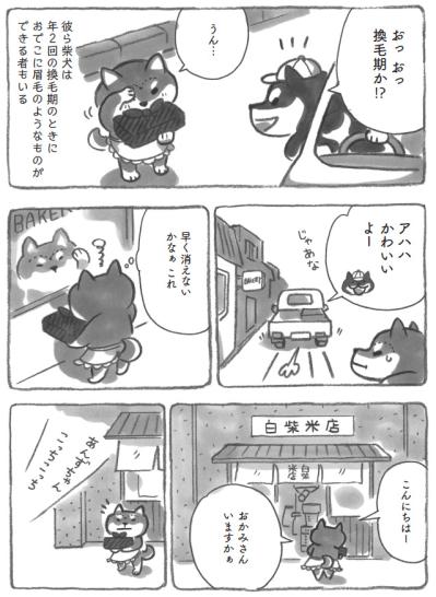 柴犬あんずに眉毛が！？年頃女子の悩みに愛らしさ全開【柴犬食堂 #18】（サムネイル画像3）