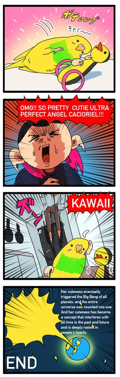 インコが一人遊びで見せた仕草に飼い主悶絶！「かわいい」の大連発【鳥マンガ＃111】（サムネイル画像5）