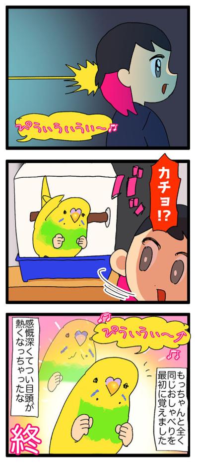 先代インコの思い出と重なる瞬間！インコのかわいすぎる甘え行動にほっこり【鳥マンガ＃115】（サムネイル画像5）