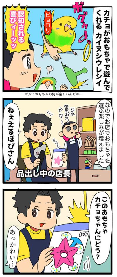 換羽チェックでインコに嫌われた!? それでも甘やかす飼い主の愛情物語【鳥マンガ＃112】（サムネイル画像6）