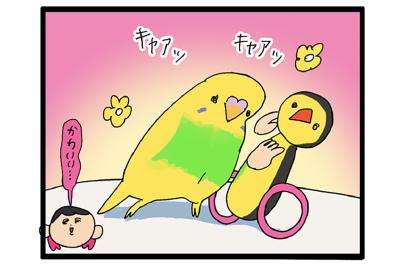 インコが一人遊びで見せた仕草に飼い主悶絶！「かわいい」の大連発【鳥マンガ＃111】