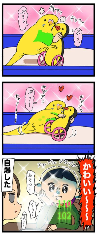 ペットカメラ越しに悶絶！インコのかわいさと初めての人語に感動【鳥マンガ＃116】（サムネイル画像4）
