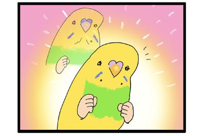 先代インコの思い出と重なる瞬間！インコのかわいすぎる甘え行動にほっこり【鳥マンガ＃115】