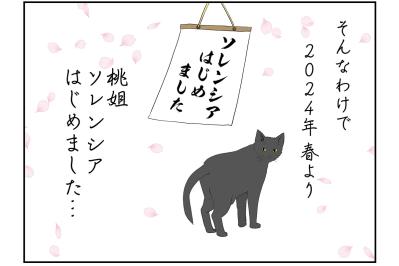 【マンガ・老猫日誌 ＃2】関節炎の新薬、はじめました！19歳の元保護猫・桃姐
