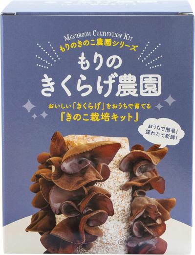 【最大21％OFF】家庭菜園を始めるなら【栽培キット】簡単！いろいろ揃えなくてOK♪【Amazonタイムセール】（サムネイル画像4）