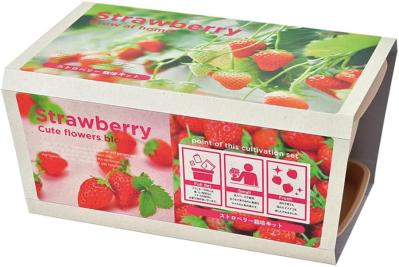 【最大21％OFF】家庭菜園を始めるなら【栽培キット】簡単！いろいろ揃えなくてOK♪【Amazonタイムセール】（サムネイル画像2）