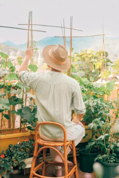 「夏野菜がどっさり獲れる！」「カメムシは薄めたコーヒーで撃退！」家族で楽しむベランダガーデン実例（サムネイル画像2）