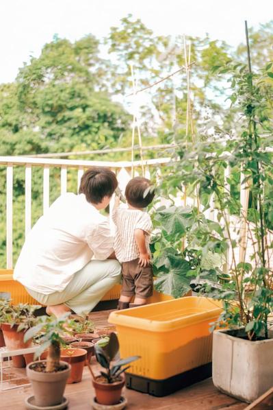 25㎡のベランダが菜園に！水耕栽培のバジルも驚くほど元気【ベランダガーデン歴5年の実例】（サムネイル画像2）