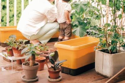 25㎡のベランダが菜園に！水耕栽培のバジルも驚くほど元気【ベランダガーデン歴5年の実例】