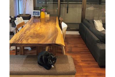 大病を機に70着を断捨離。そして気づいた「適正量」とは？「持たないファッション」の新ルール