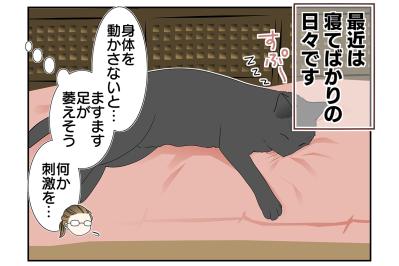 【マンガ・老猫日誌 ＃7】大トラにならなくても…19歳の元保護猫・桃姐