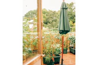 「夏野菜がどっさり獲れる！」「カメムシは薄めたコーヒーで撃退！」家族で楽しむベランダガーデン実例