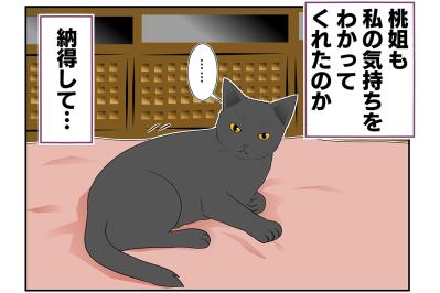 【マンガ・老猫日誌 ＃9】八つ当たりする老猫…19歳の元保護猫・桃姐