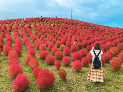 興奮＆感動！【旅好き50代女性が選ぶアウトドア】この秋に行きたいジップライン、自然観察スポットを紹介（サムネイル画像10）