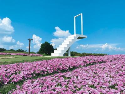 興奮＆感動！【旅好き50代女性が選ぶアウトドア】この秋に行きたいジップライン、自然観察スポットを紹介（サムネイル画像9）