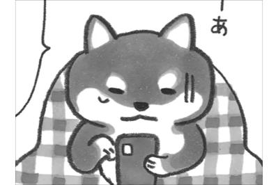 【柴犬食堂 #21】心がポカポカ！約束を断った柴犬あんずを癒やしたのは？