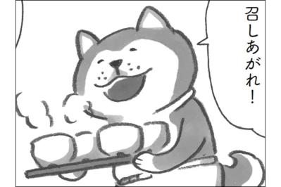 新年の柴犬食堂！おせち料理と「今年は挑戦してみたいこと」で盛り上がる【柴犬食堂 #25】