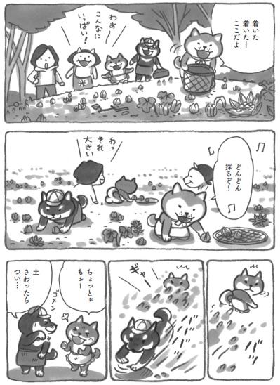 柴犬がモフモフの季節。懐かしさあふれる里山遠足へ！【柴犬食堂 #27】（サムネイル画像4）