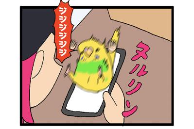 隔離越しの絆！ゴルとカチョのすれ違い日常／新人インコはスマホが好き？【鳥マンガ＃119】