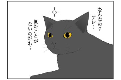 【マンガ・老猫日誌 ＃15】老猫のトイレ事情その3…19歳の元保護猫・桃姐