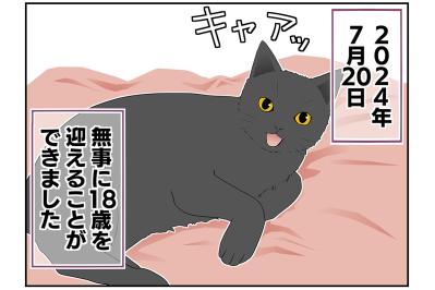 【マンガ・老猫日誌 ＃11】老猫、18歳になる。元保護猫・桃姐